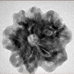 1MK(Underdeveloped) 23.2mm 4.18gm - Inverse xray