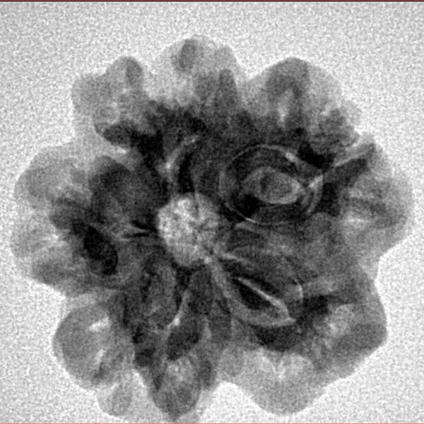 1MK(Underdeveloped) 23.2mm 4.18gm - Inverse xray