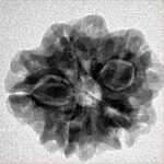 1MK(Underdeveloped) 21.9mm 3gm - Inverse xray