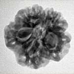 1MK(Underdeveloped) 22.1mm 3.22gm - Inverse xray