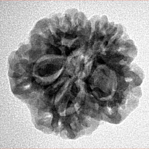 1MK(Underdeveloped) 22.1mm 3.22gm - Inverse xray