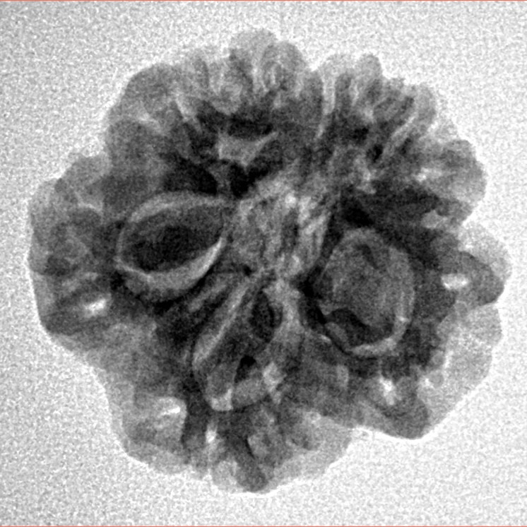 1MK(Underdeveloped) 22.1mm 3.22gm - Inverse xray