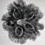 1MK(Underdeveloped) 22.5mm 3.81gm - Inverse xray