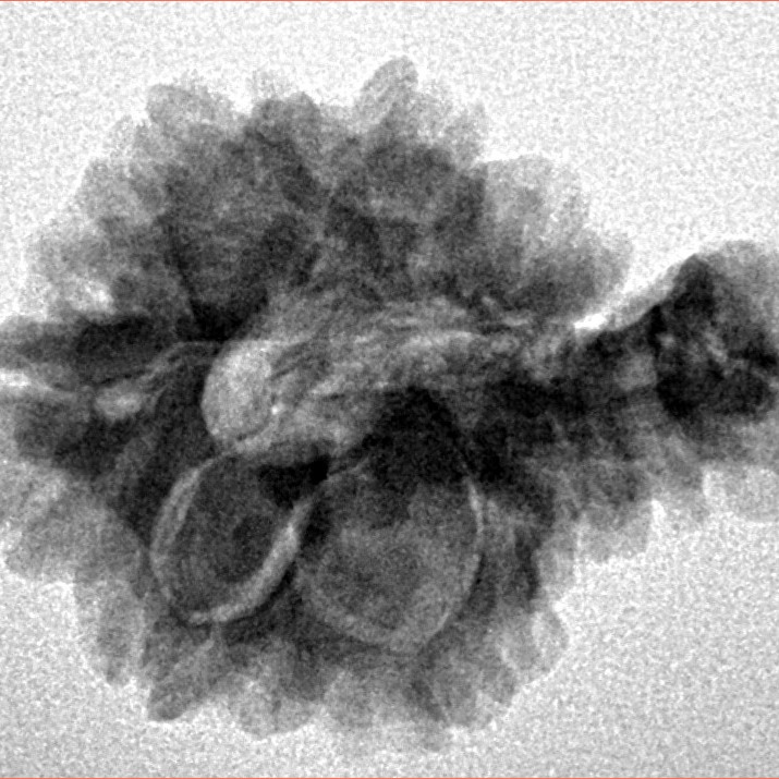 Sawar/Ganesh (6+1) 25.6mm 3.43gm - Inverse xray