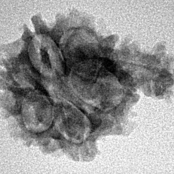 Sawar/Ganesh (6+1) 23mm 2.19gm - Inverse xray