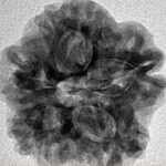 1MK(Underdeveloped) 24.4mm 5.09gm - Inverse xray