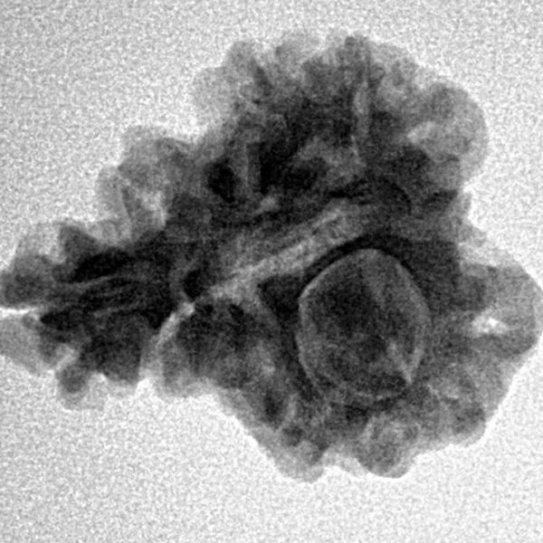 Sawar/Ganesh (2+1) 21mm 3.28gm - Inverse xray