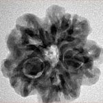 1MK(Underdeveloped) 22.3mm 3.89gm - Origin: Nepal - Inverse xray