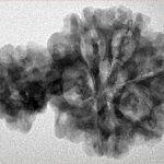 Sawar/Ganesh (5+1) 32.4mm 4.94gm - Inverse xray