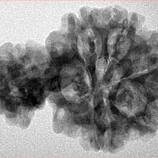 Sawar/Ganesh (5+1) 32.4mm 4.94gm - Inverse xray