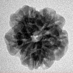 1MK(Underdeveloped) 19.3mm 2.47gm - Inverse xray