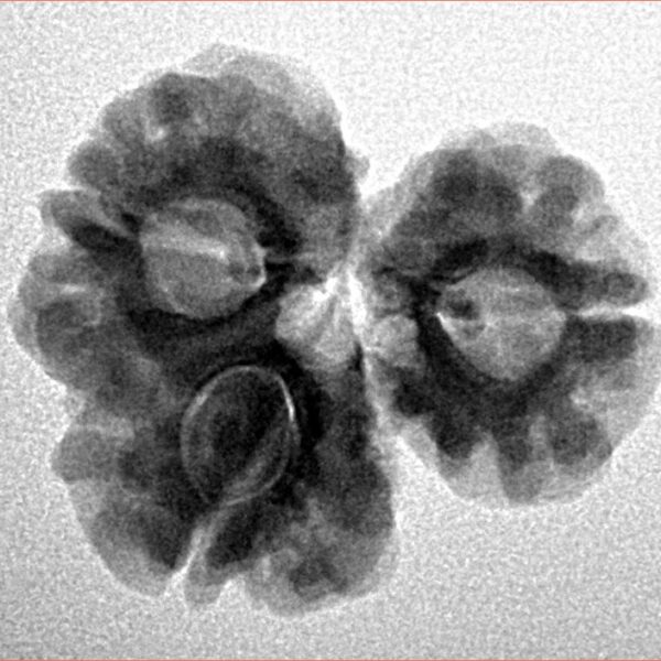 Sawar/Ganesh (2+1) 22.2mm 3gm - Inverse xray