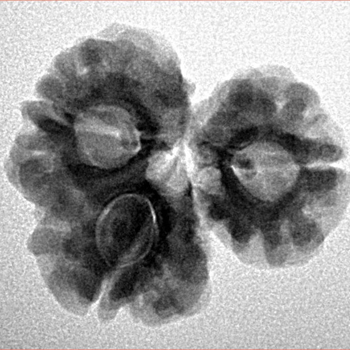 Sawar/Ganesh (2+1) 22.2mm 3gm - Inverse xray