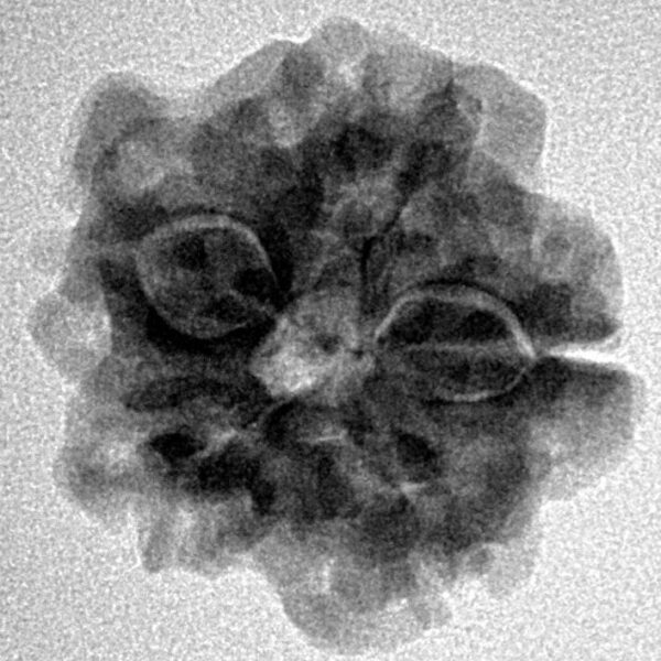 1MK(Underdeveloped) 22.1mm 3.44gm - Inverse xray