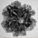 1MK(Underdeveloped) 21.8mm 3.68gm - Inverse xray