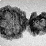 Sawar/Ganesh (5+1) 31.9mm 4gm - Inverse xray