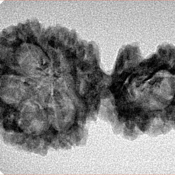 Sawar/Ganesh (5+1) 31.9mm 4gm - Inverse xray