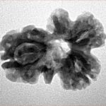 Sawar/Ganesh (2+1) 23.1mm 2.76gm - Inverse xray