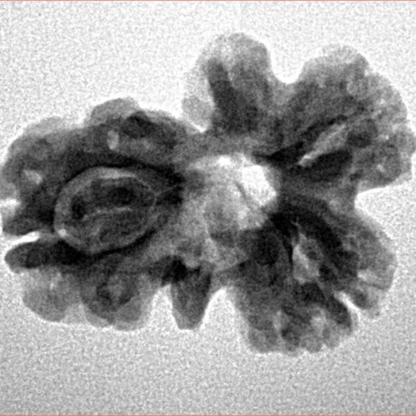 Sawar/Ganesh (2+1) 23.1mm 2.76gm - Inverse xray