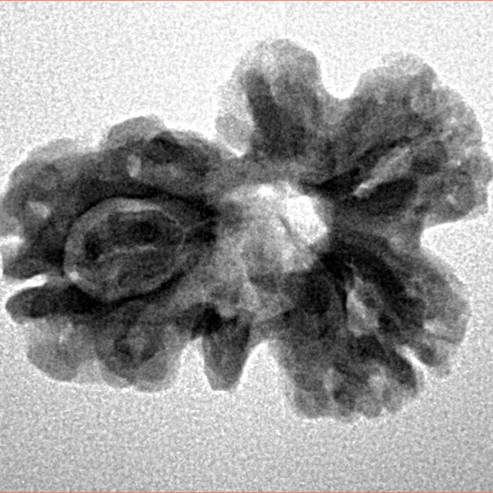 Sawar/Ganesh (2+1) 23.1mm 2.76gm - Inverse xray