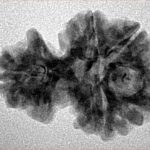 Sawar/Ganesh (4+1) 24mm 2.64gm - Inverse xray