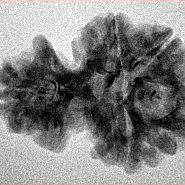 Sawar/Ganesh (4+1) 24mm 2.64gm - Inverse xray