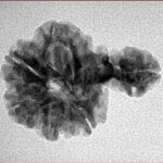 Sawar/Ganesh (6+1) 24.7mm 2.61gm - Inverse xray