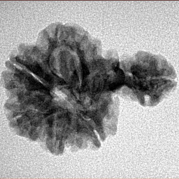 Sawar/Ganesh (6+1) 24.7mm 2.61gm - Inverse xray