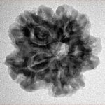 1MK(Underdeveloped) 23.1mm 4.17gm - Inverse xray