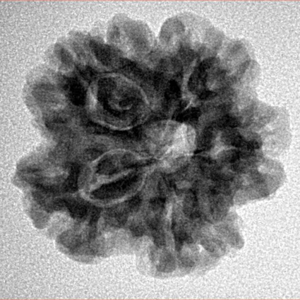 1MK(Underdeveloped) 23.1mm 4.17gm - Inverse xray