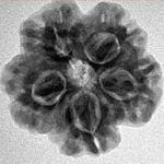 1MK(Underdeveloped) 23mm 3.93gm - Inverse xray