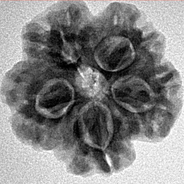 1MK(Underdeveloped) 23mm 3.93gm - Inverse xray