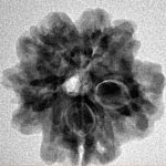 1MK(Underdeveloped) 22.4mm 3.7gm - Inverse xray