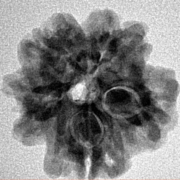 1MK(Underdeveloped) 22.4mm 3.7gm - Inverse xray