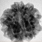 1MK(Underdeveloped) 23.2mm 4.16gm - Inverse xray