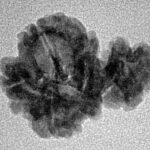 Sawar/Ganesh (3+1) 21.4mm 1.72gm - Inverse xray