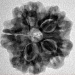 1MK(Underdeveloped) 23mm 4.06gm - Inverse xray