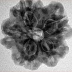 1MK(Underdeveloped) 22.6mm 3.89gm - Inverse xray