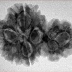 Sawar/Ganesh (4+1) 29.4mm 5.17gm - Inverse xray