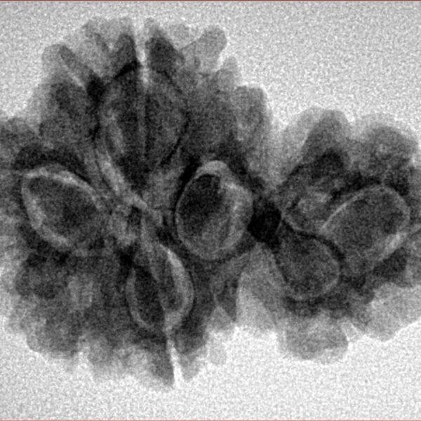 Sawar/Ganesh (4+1) 29.4mm 5.17gm - Inverse xray