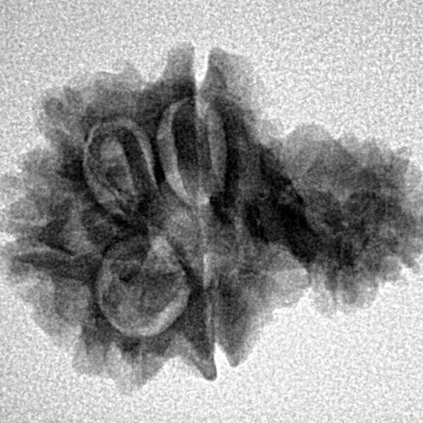 Sawar/Ganesh (5+1) 23.9mm 3gm - Inverse xray