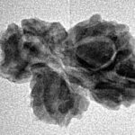 4 Mukhi Trijuti 21.6mm 1.53gm - Inverse xray