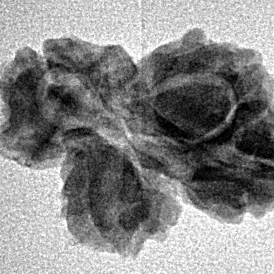 4 Mukhi Trijuti 21.6mm 1.53gm - Inverse xray