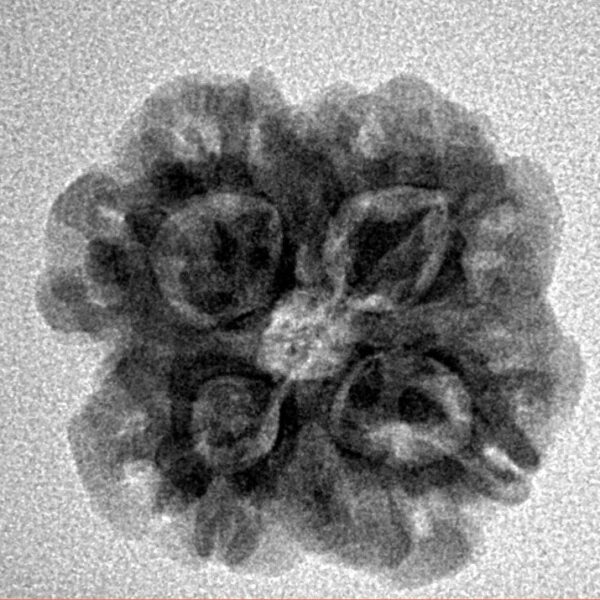 1MK(Underdeveloped) 21.4mm 3.18gm - Inverse xray