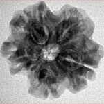 1MK(Underdeveloped) 25mm 4.49gm - Inverse xray