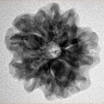 1MK(Underdeveloped) 23.7mm 3.9gm - Inverse xray