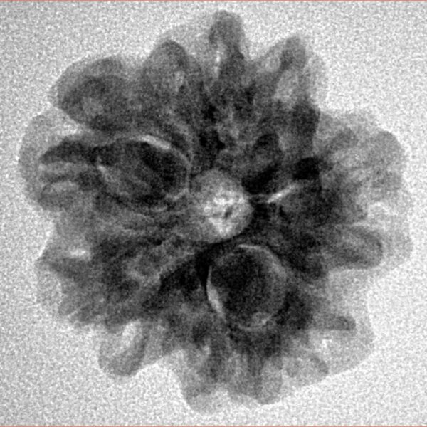 1MK(Underdeveloped) 23.7mm 3.9gm - Inverse xray