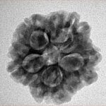 1MK(Underdeveloped) 22mm 3.94gm - Inverse xray