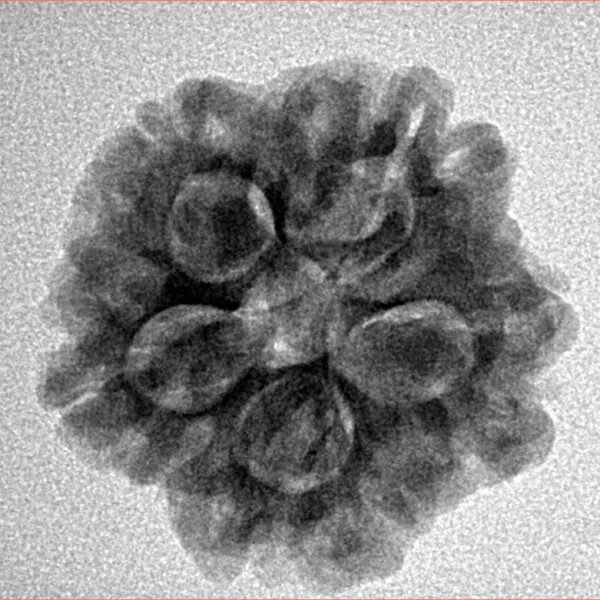 1MK(Underdeveloped) 22mm 3.94gm - Inverse xray