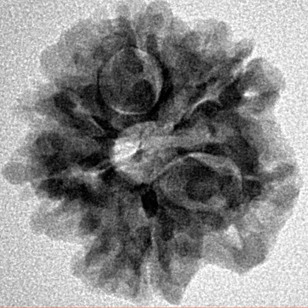 1MK(Underdeveloped) 22.1mm 3.52gm - Inverse xray